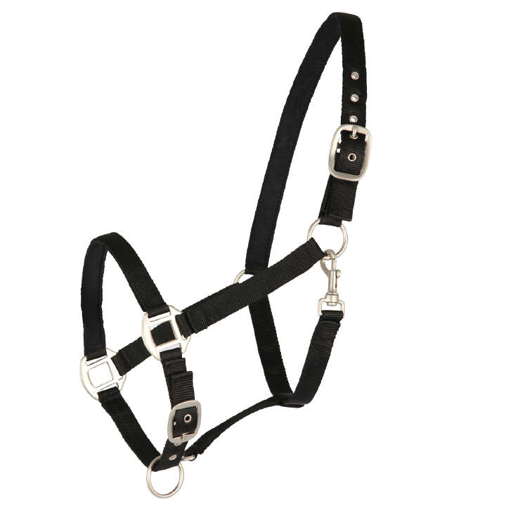 KANTRIE Halfter Satin